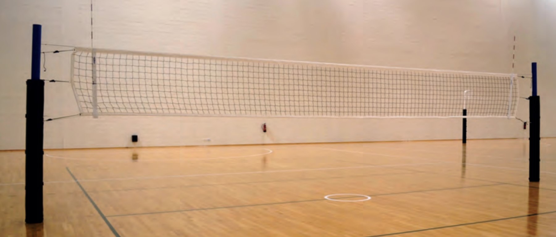 Volleyball net Sportex Sporting Goods Sports Equipment